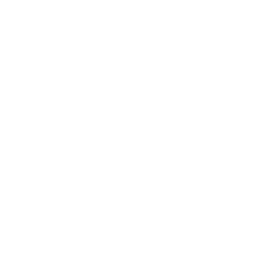 Enspira Leadership Coaching - for Executive Teams
