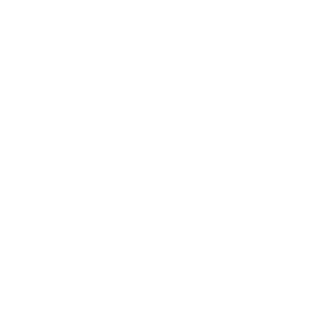 Enspira Leadership Coaching - for Senior Managers